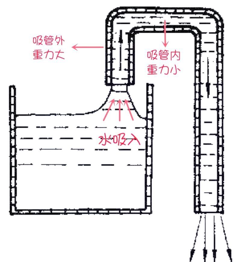 魚缸手動清理步驟