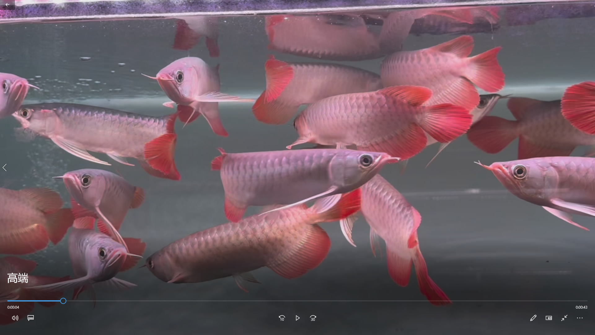QQ20260508-195246.png