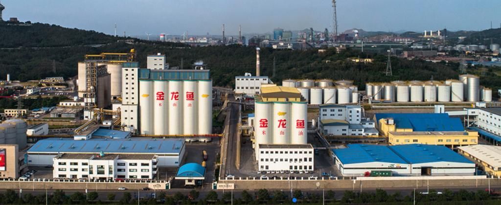 金龍魚被調出MSCI中國指數的原因是什么？，金龍魚被調出msci中國指數的原因