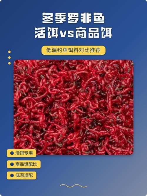 如何判斷食物是否新鮮，避免喂變質餌料，如何判斷食物新鮮度