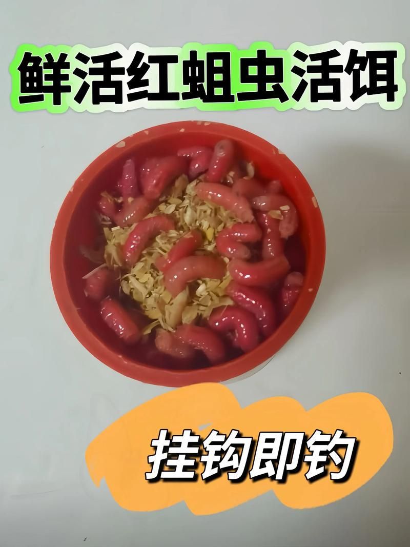 如何判斷食物是否新鮮，避免喂變質餌料，如何判斷食物新鮮度