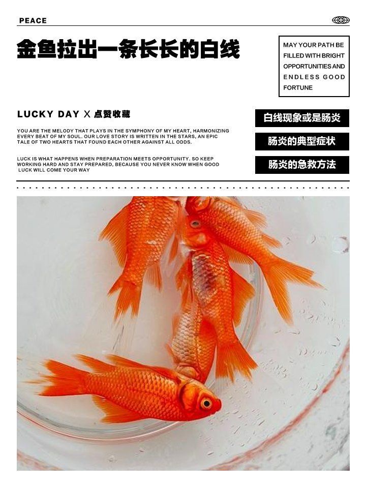 如何判斷金魚是否生病