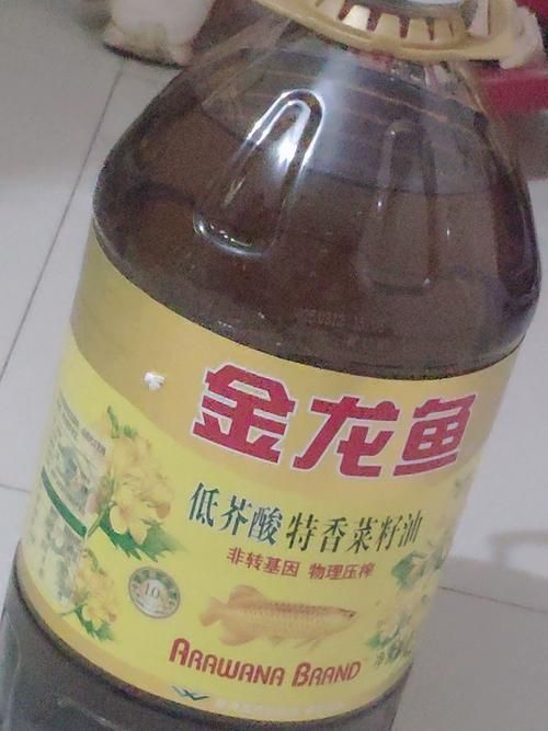 金龍魚在山東有哪些系列產品，金龍魚在山東有哪些系列產品以滿足不同消費者的需求