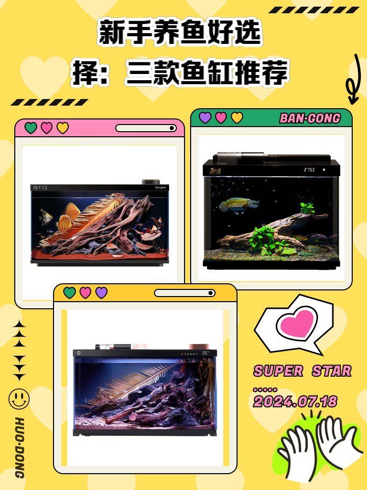 有哪些魚缸適合新手？，新手養魚好選擇：三款魚缸推薦