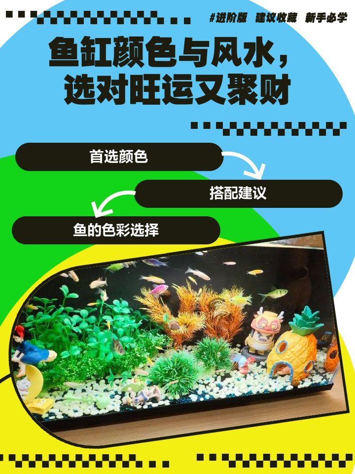 養魚的顏色搭配有哪些講究，關于養魚顏色搭配的建議