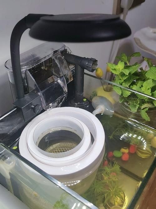 有沒有更多性價比高的魚缸燈推薦，性價比高的魚缸燈品牌和型號推薦，百元至三百元價位段表現(xiàn)突出