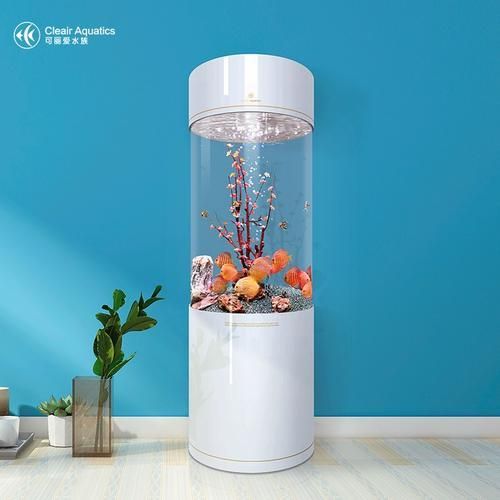 可麗愛和閩江哪個品牌更高端？，可麗愛與閩江哪個品牌更高端？
