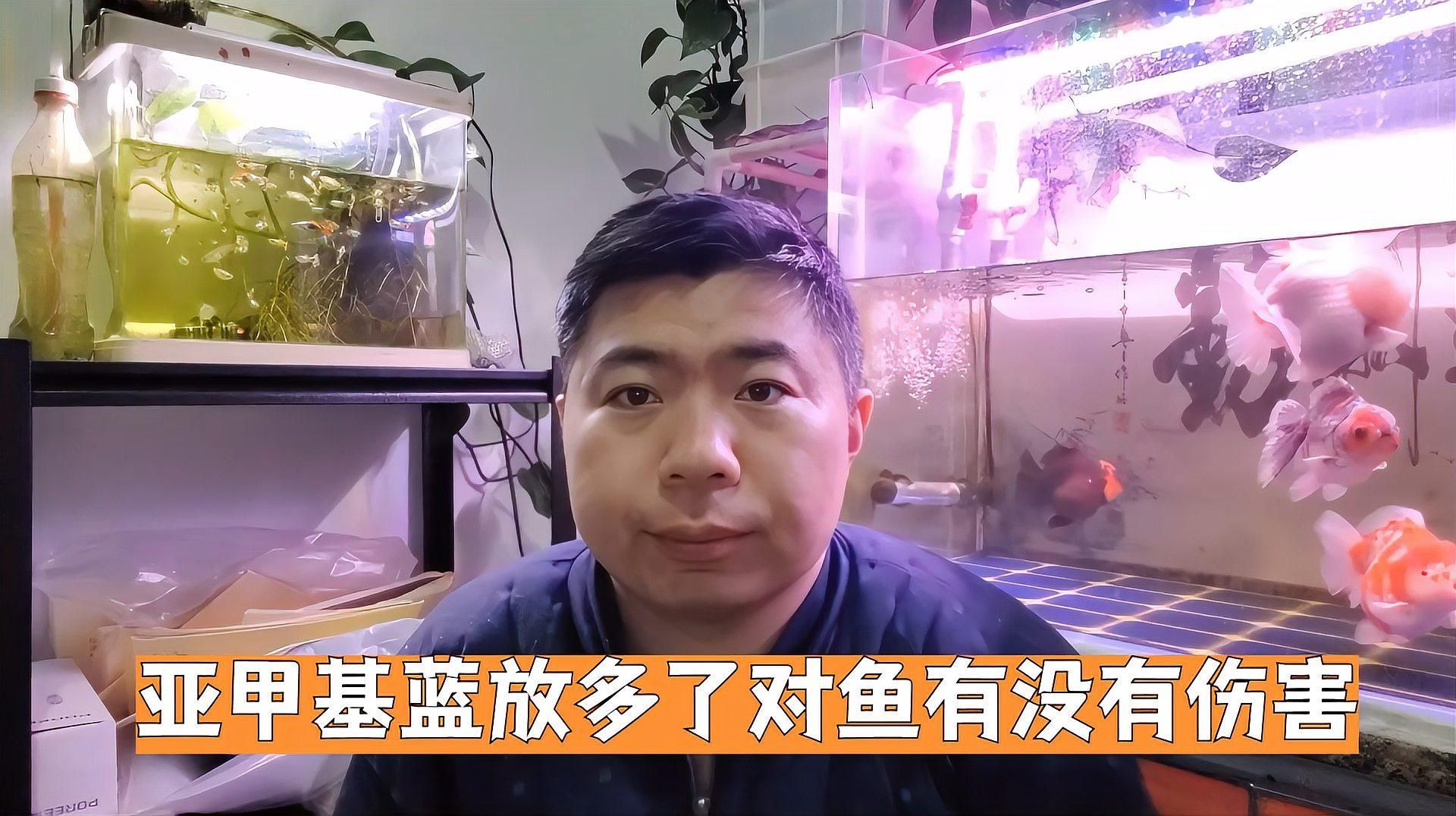 亞甲基藍(lán)使用過量會有什么后果，亞甲基藍(lán)使用過量會有什么后果，亞甲基藍(lán)安全使用劑量對照表