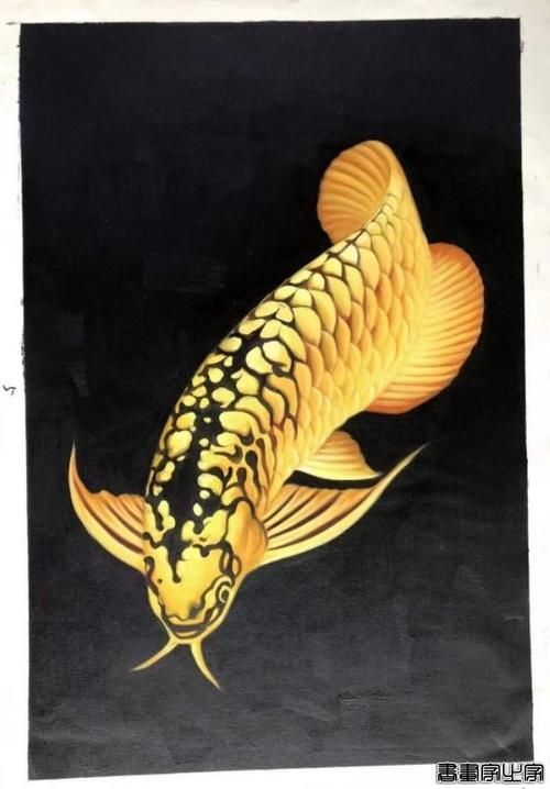 有哪些著名的油畫金龍魚作品，著名油畫金龍魚作品