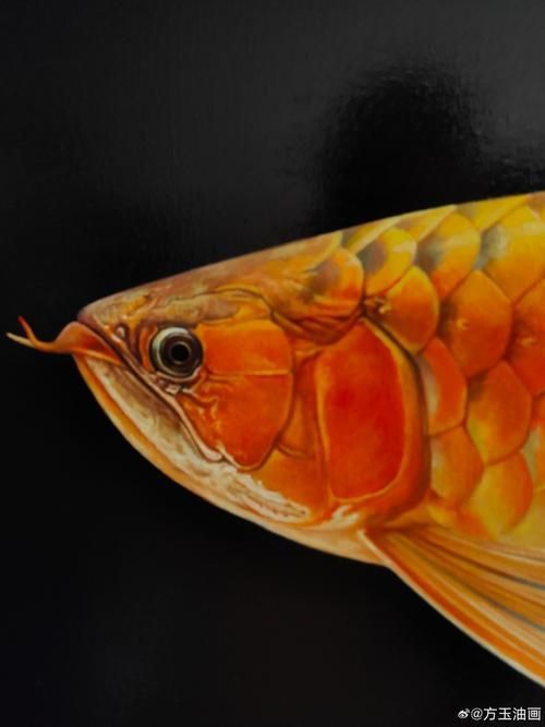有哪些著名的油畫金龍魚作品，著名油畫金龍魚作品