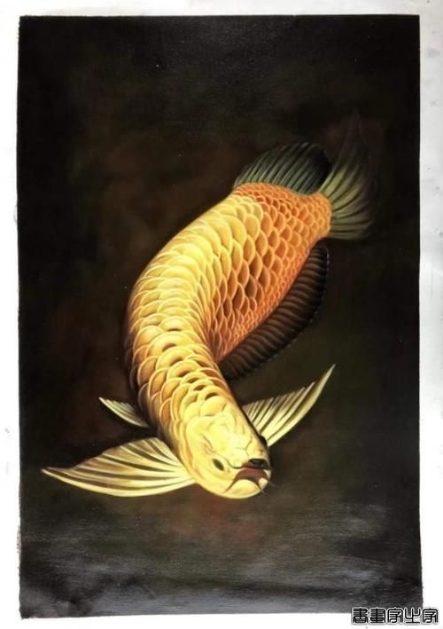 有哪些著名的油畫金龍魚作品，著名油畫金龍魚作品