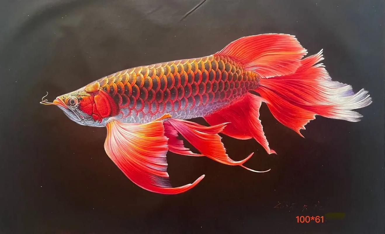 有哪些著名的油畫金龍魚作品，著名油畫金龍魚作品