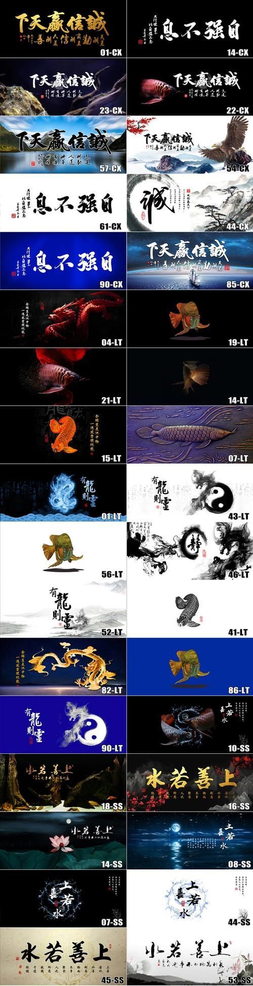 過背金龍魚缸背景貼紙推薦，過背金龍魚各階段背景色切換的詳細時間表和購買清單
