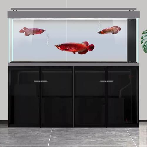 哪個品牌的龍魚缸最實惠？，哪個品牌的龍魚缸性價比最高？