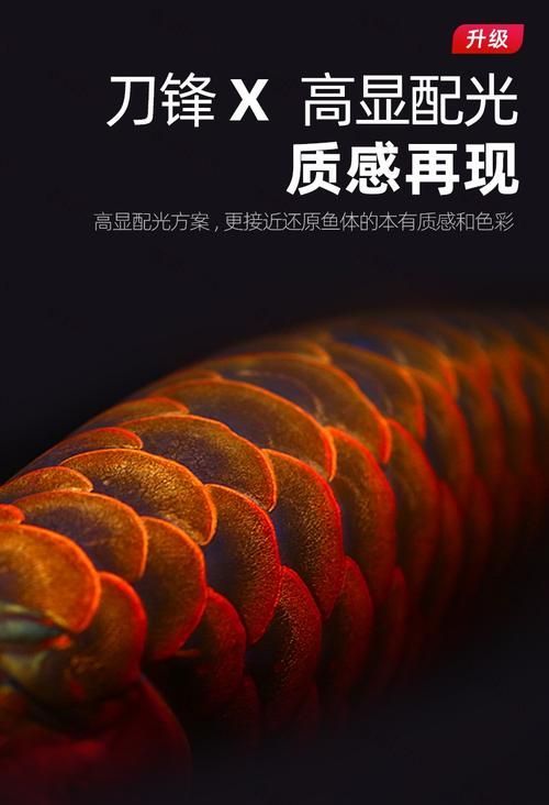 推薦幾款性價比高的龍魚發色專用燈