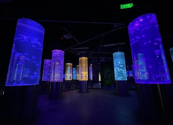 西安還有哪些水族館推薦？，西安最受歡迎、口碑最佳的幾大水族館和水族館推薦