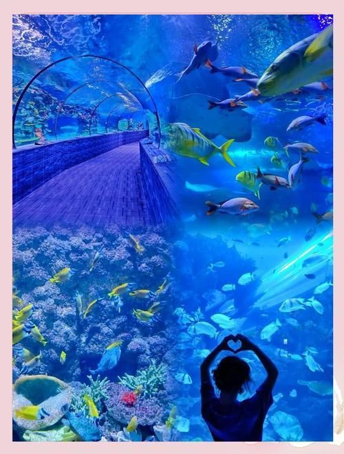 西安還有哪些水族館推薦？，西安最受歡迎、口碑最佳的幾大水族館和水族館推薦