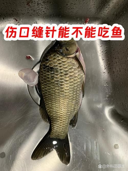 如何判斷魚類傷口愈合情況，arxiv論文助手arxiv論文助手arxiv論文助手