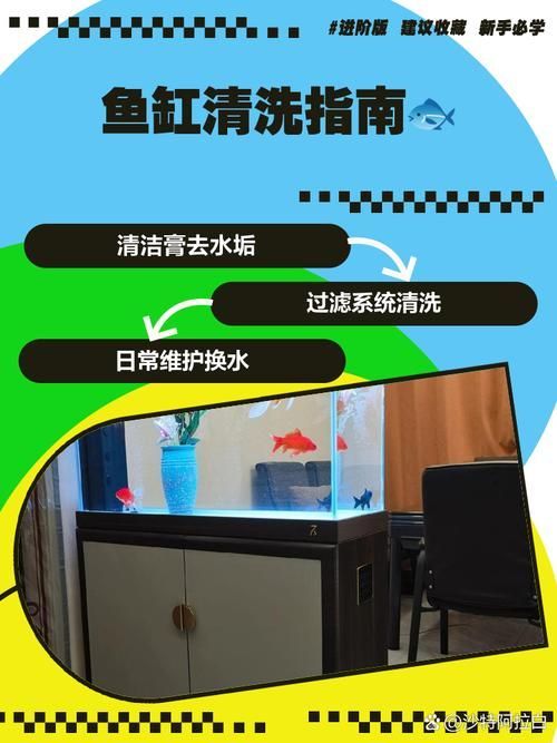 如何預約祥龍魚場的魚缸服務？，祥龍魚場服務流程