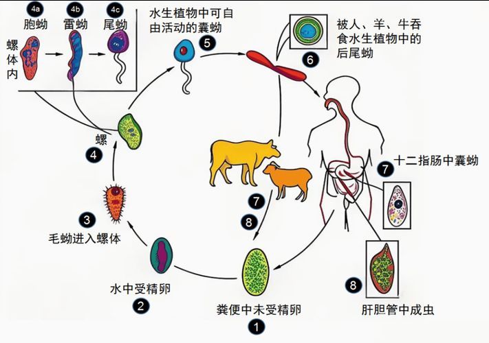 有哪些方法可以預(yù)防魚類寄生蟲感染，arxiv論文助手arxiv論文助手arxiv論文助手