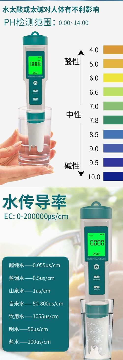 給我一份龍魚飼養 checklist，龍魚飼養完整checklist