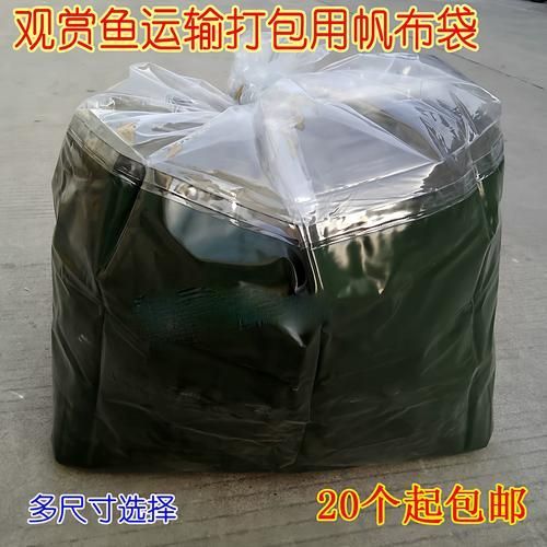 如何保存寶坻龍魚使其保持新鮮，——龍魚保存指南,寶坻龍魚保存