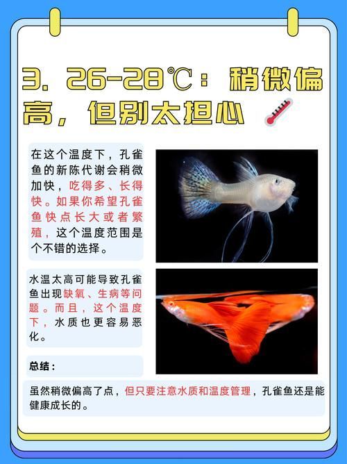 如何預(yù)防孔雀魚夜間死亡，預(yù)防孔雀魚夜間死亡的方法