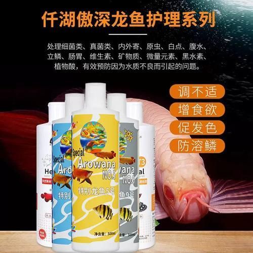 有哪些品牌的龍魚安定劑值得推薦？
