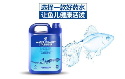 有哪些品牌的龍魚安定劑值得推薦？