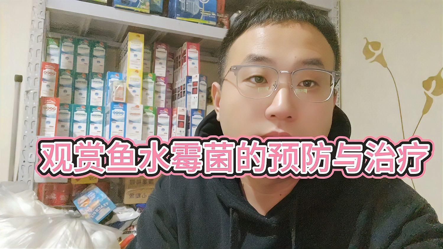 如何預防魚缸水霉病復發，水霉病復發后如何快速治療