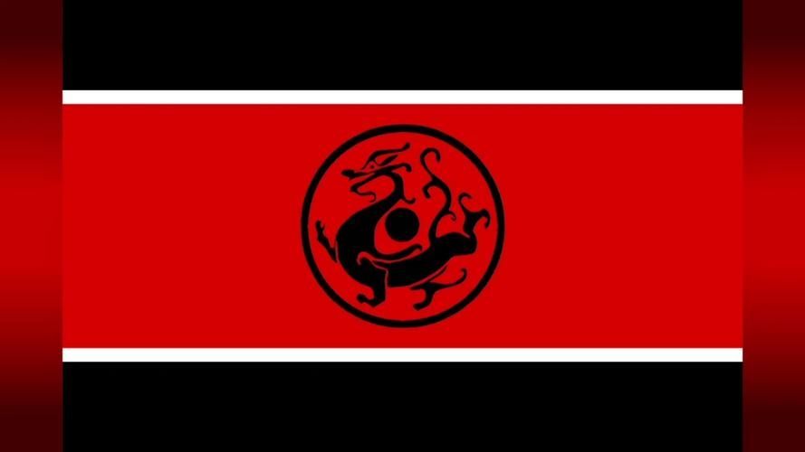 黑龍旗在哪些場合使用，黑龍旗在哪些場合使用，黑龍旗在哪些網絡平臺使用詳細規范