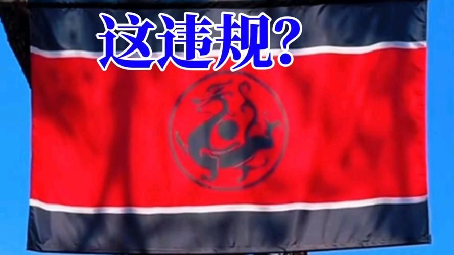 黑龍旗在哪些場合使用，黑龍旗在哪些場合使用，黑龍旗在哪些網絡平臺使用詳細規范