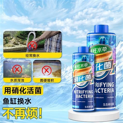 腹水魚最簡單三個處理，腹水魚最簡單三個處理,腹水魚（dropsy）