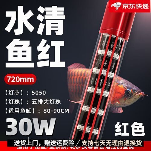 給我推薦一些適合龍魚的夜燈品牌，龍魚夜燈品牌推薦