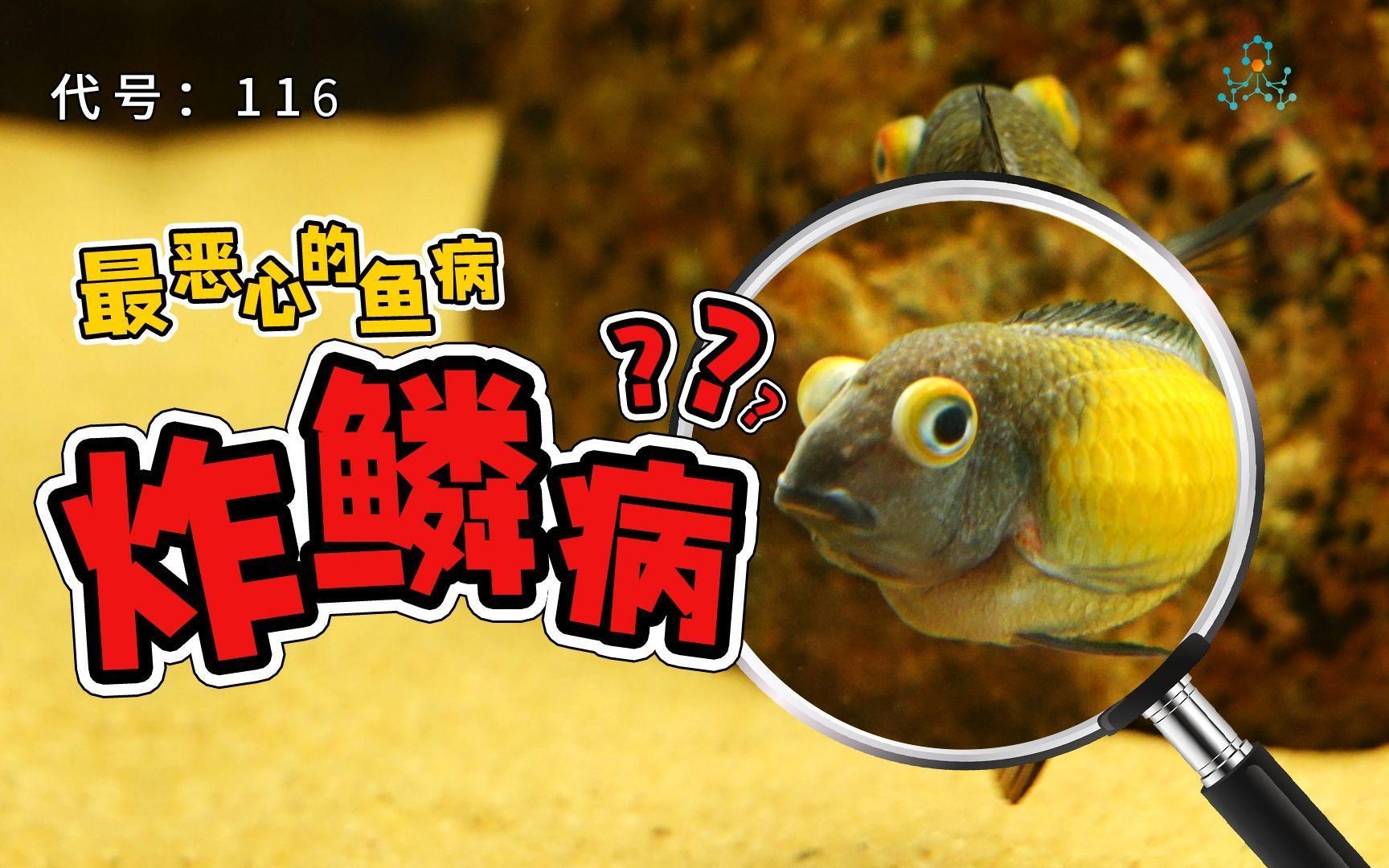 如何判斷魚是否炸鱗，如何判斷魚是否炸鱗——科學診斷指南