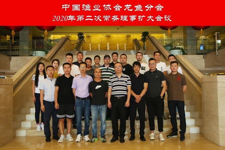 哪里可以找到高清的龍魚知識講座視頻？，高清龍魚知識講座視頻資源