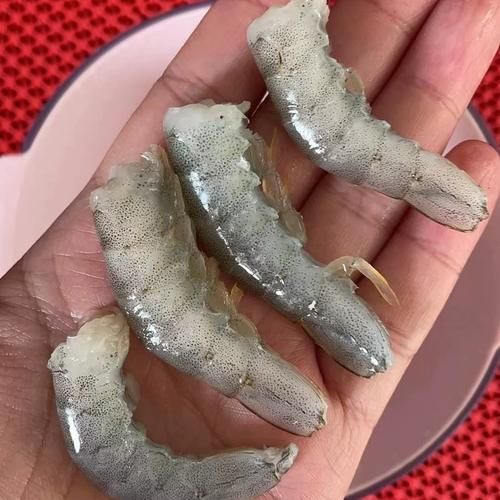 如何判斷龍魚是否需要喂蝦？