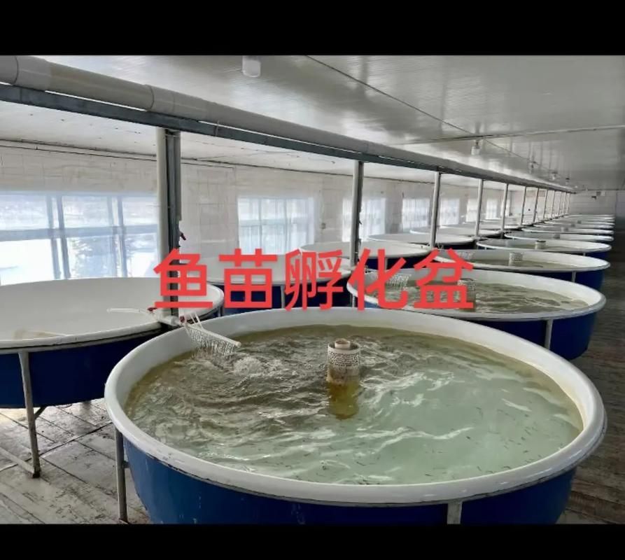 給我一些關于南陵龍魚的信息，“南陵龍魚”的養殖圖鑒，南陵龍魚的養殖產業需補充“配圖”