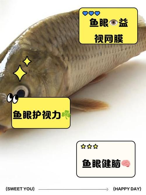 如何預防魚類突眼病，如何預防魚類突眼病預防詳解（exophthalmia）