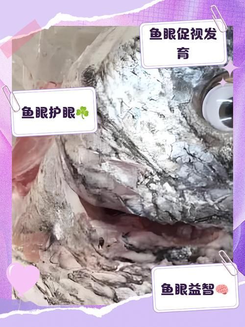如何預防魚類突眼病，如何預防魚類突眼病預防詳解（exophthalmia）