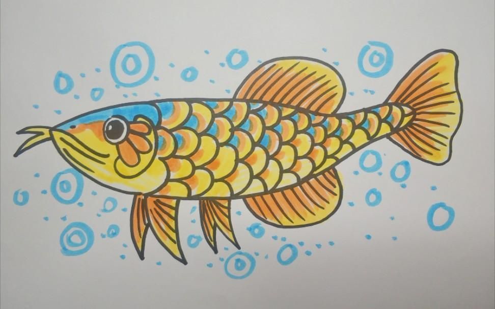 能提供金龍魚簡筆畫的視頻教程嗎？，金龍魚簡筆畫教程