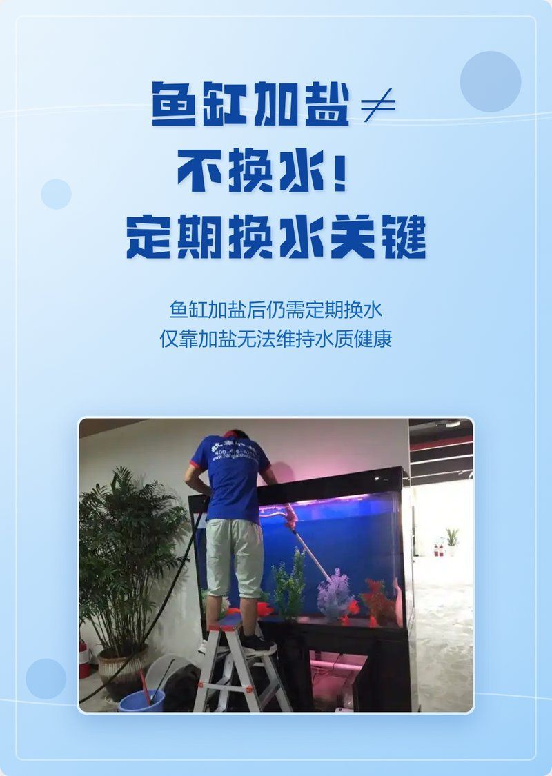 加鹽治療期間多久換一次水合適，加鹽治療期間多久換一次水合適魚缸加鹽治療期間多久換一次水