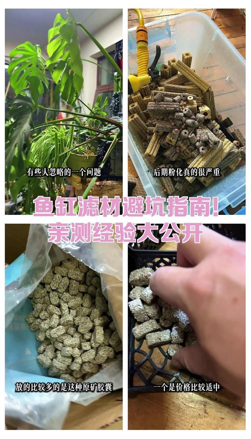如何選擇適合魚缸的濾材？，如何選擇魚缸濾材