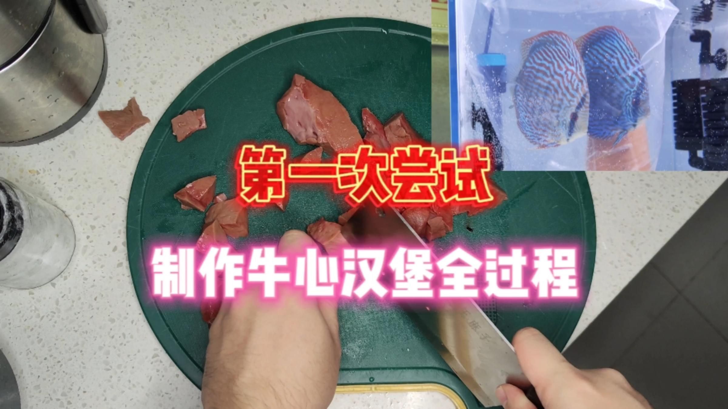 如何正確喂食牛心漢堡，如何正確喂食牛心漢堡，牛心漢堡投喂記錄表,