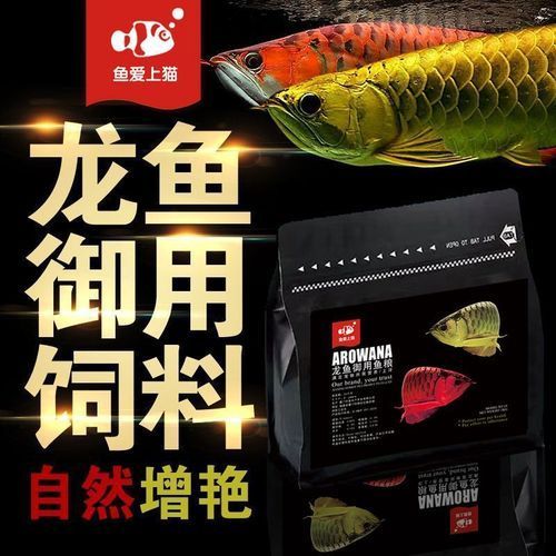 有哪些金龍魚發色飼料推薦