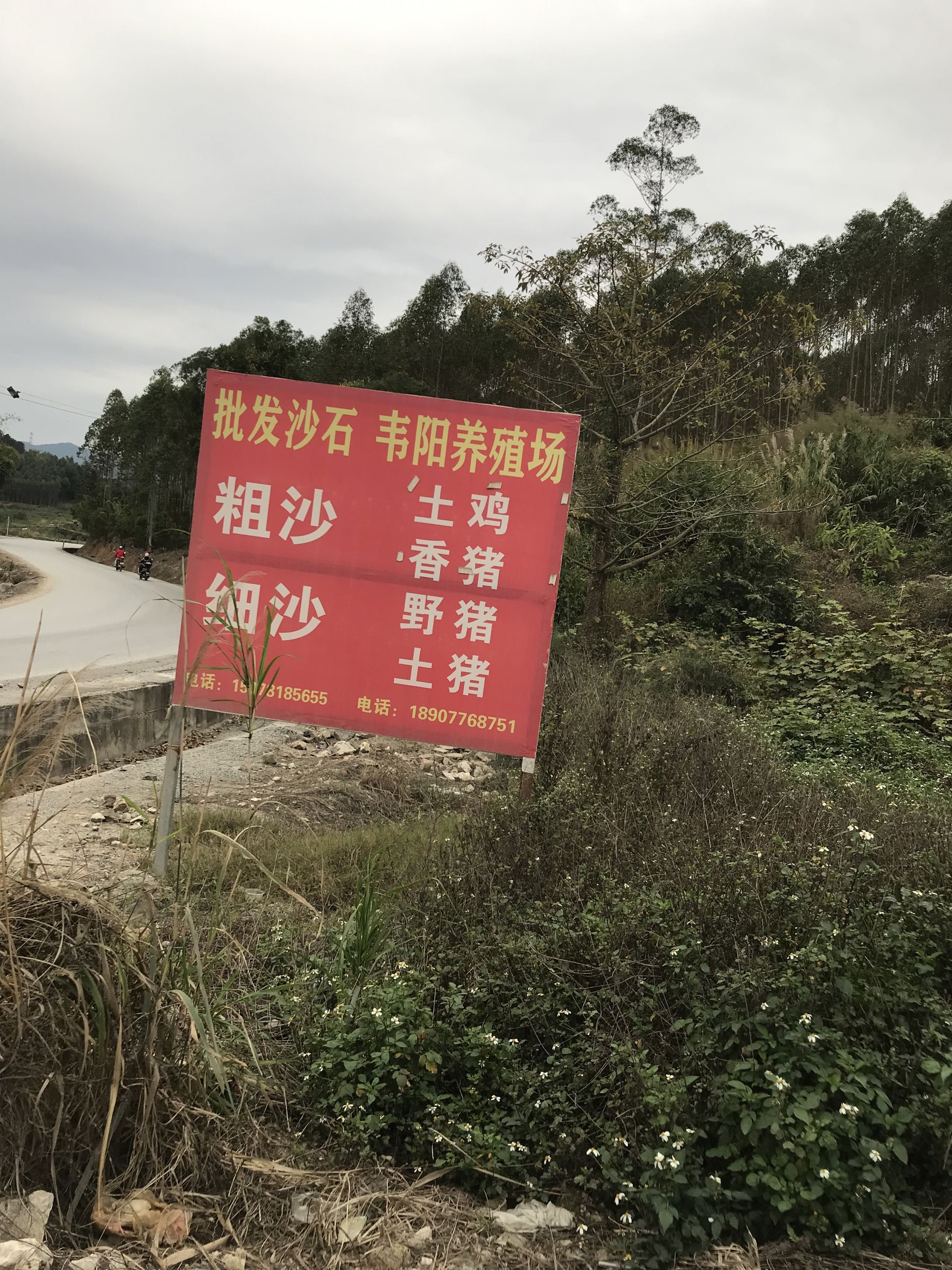 右江區(qū)有哪些潛在的龍魚養(yǎng)殖基地，右江區(qū)龍魚養(yǎng)殖基地有哪些優(yōu)勢(shì)？