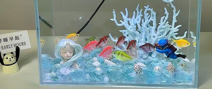 神仙魚缸的大小如何，如何選擇適合神仙魚的魚缸？