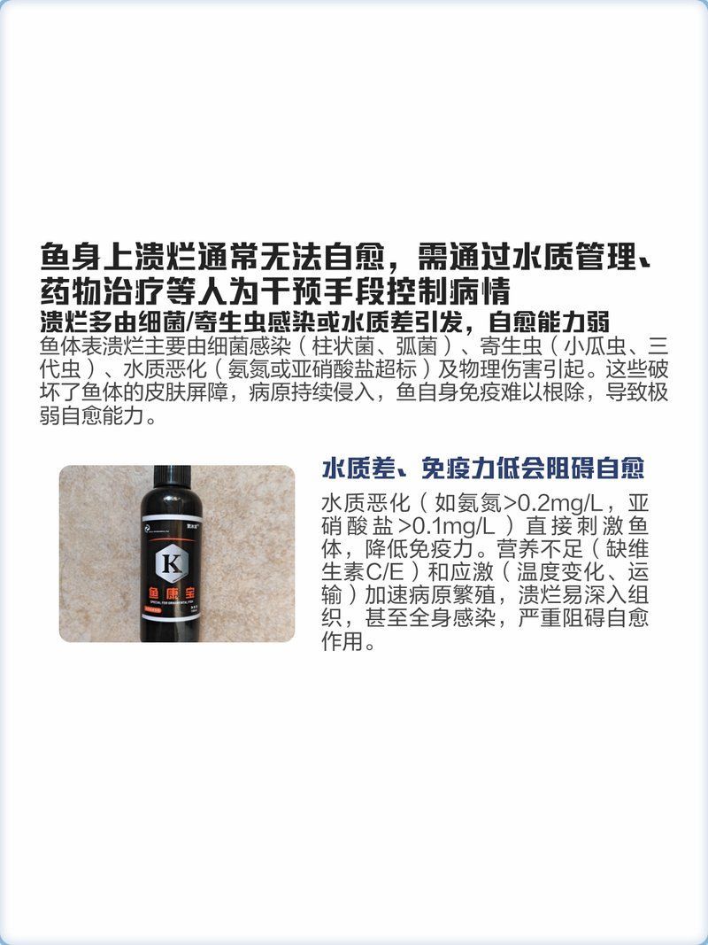 魚身上潰爛會自愈嗎，魚身上潰爛會自愈嗎，