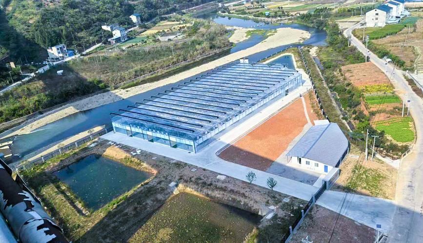 余慶龍魚的養殖技術有哪些？，余慶龍魚養殖技術的高階工業化應用和食用雙重價值的池塘設計
