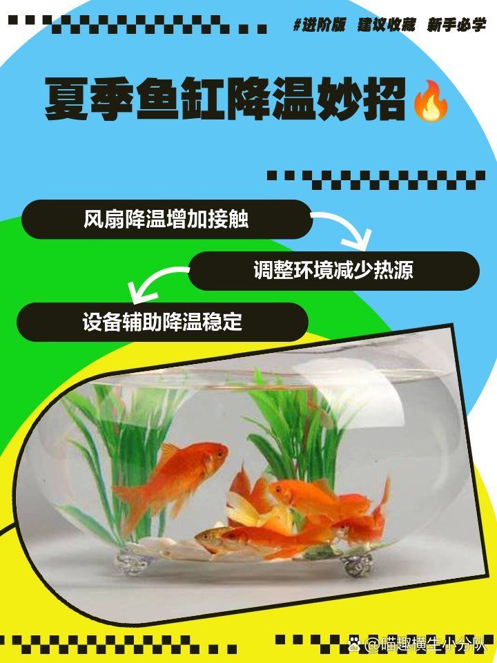 如何緩解龍魚因天氣熱而拒食，如何恢復食欲，如何緩解龍魚因天氣熱而拒食